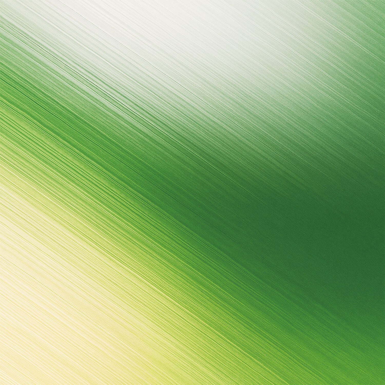 Citrus | SHEGREEN 公式オンラインストア